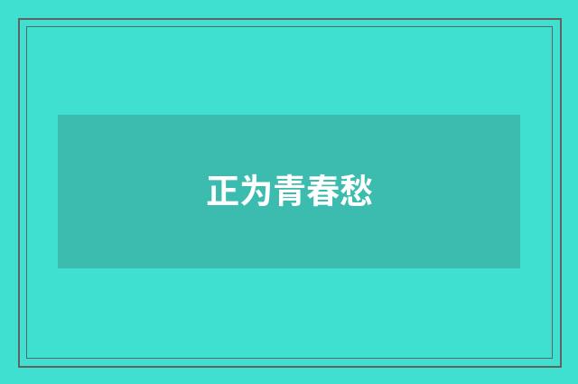正为青春愁