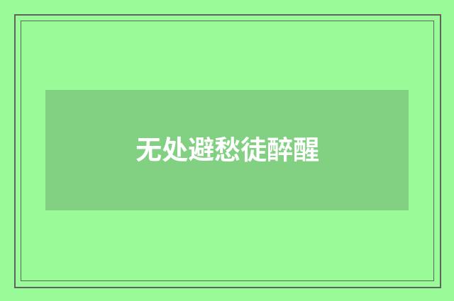 无处避愁徒醉醒
