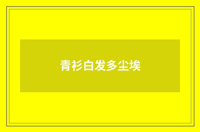 青衫白发多尘埃