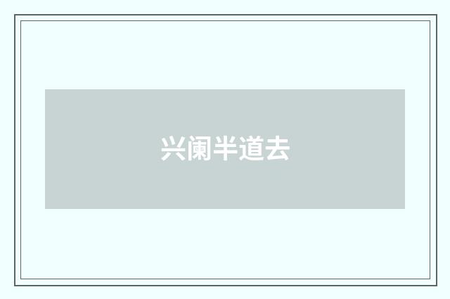 兴阑半道去