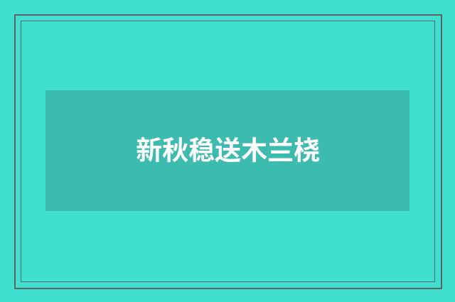 新秋稳送木兰桡