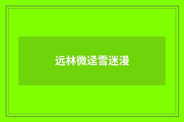 远林微迳雪迷漫