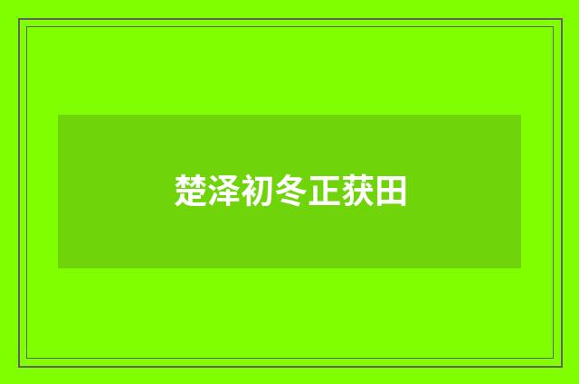 楚泽初冬正获田