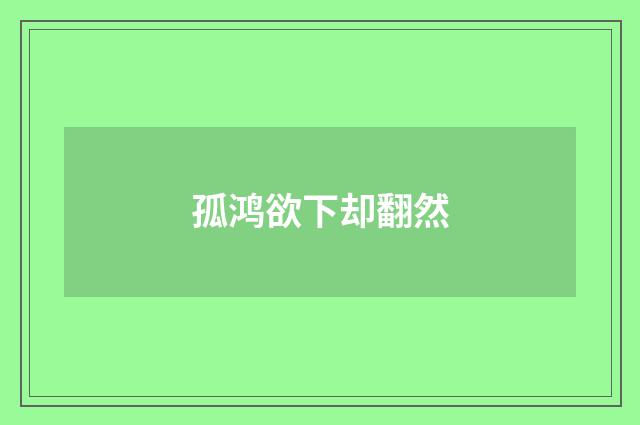 孤鸿欲下却翻然