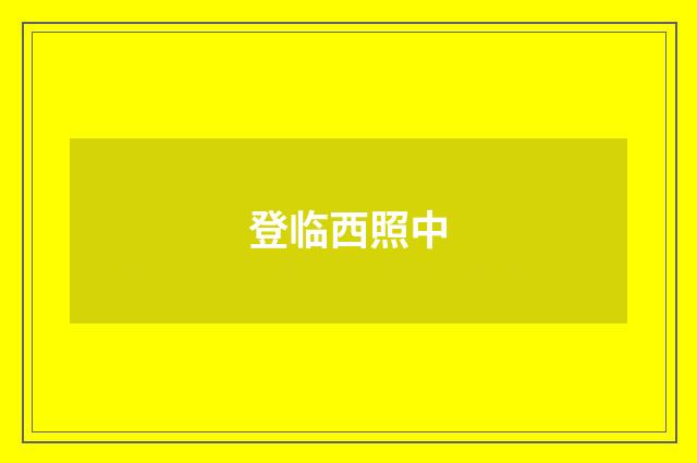 登临西照中
