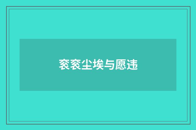 衮衮尘埃与愿违
