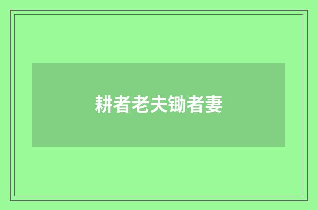 耕者老夫锄者妻