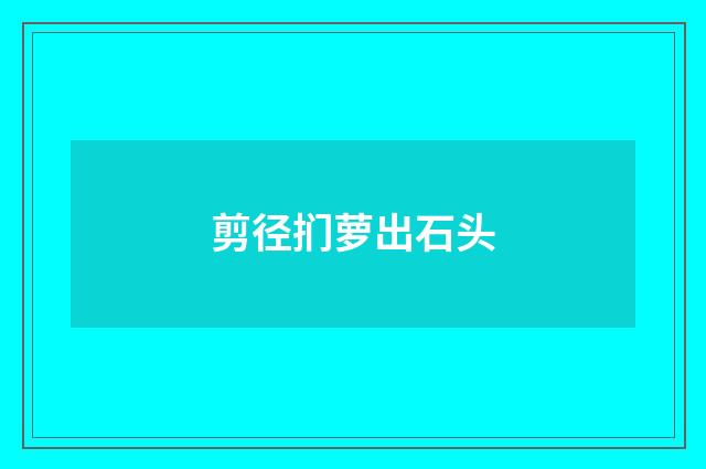剪径扪萝出石头