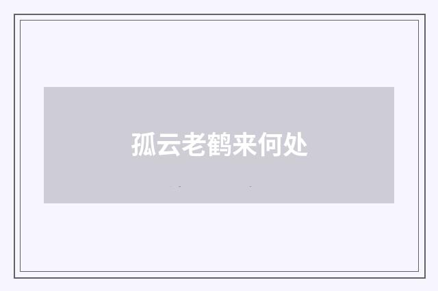 孤云老鹤来何处