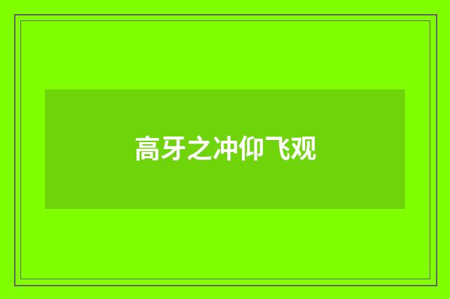高牙之冲仰飞观