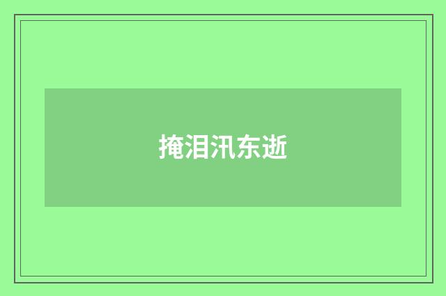 掩泪汛东逝
