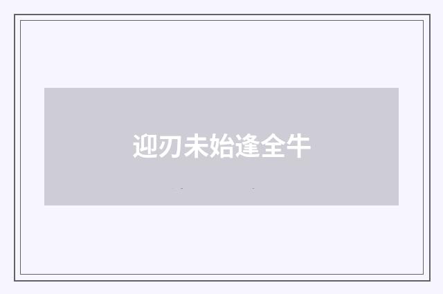 迎刃未始逢全牛