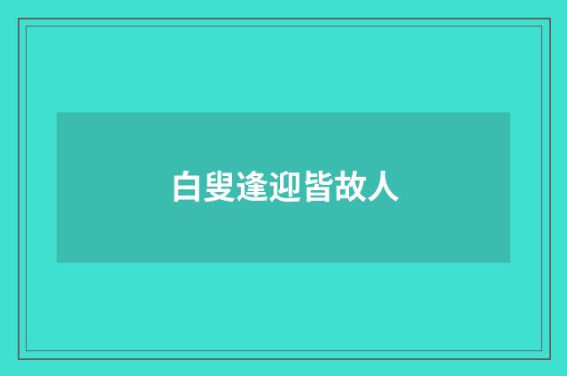白叟逢迎皆故人