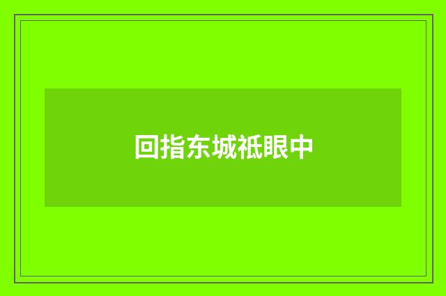 回指东城祗眼中