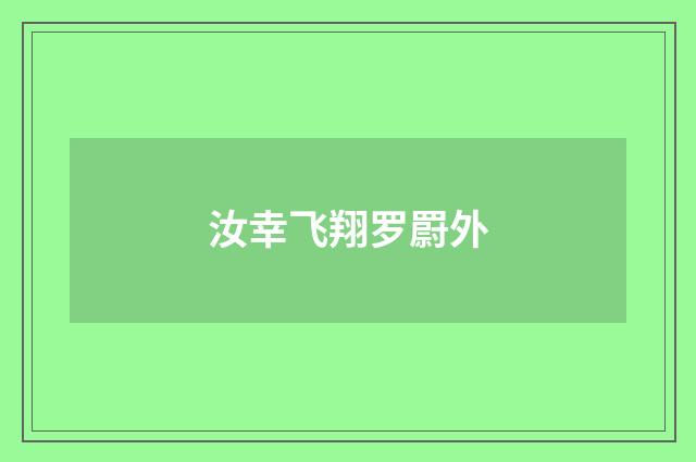 汝幸飞翔罗罻外