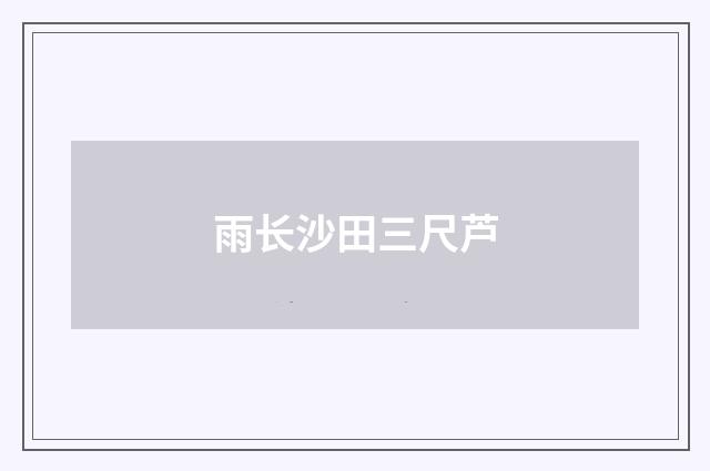 雨长沙田三尺芦
