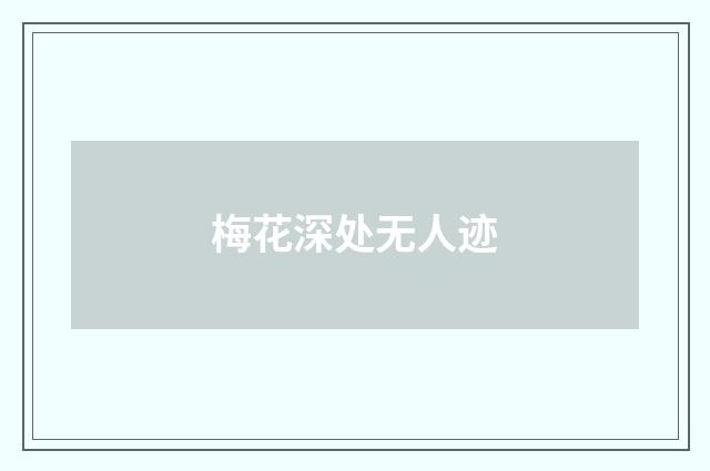 梅花深处无人迹