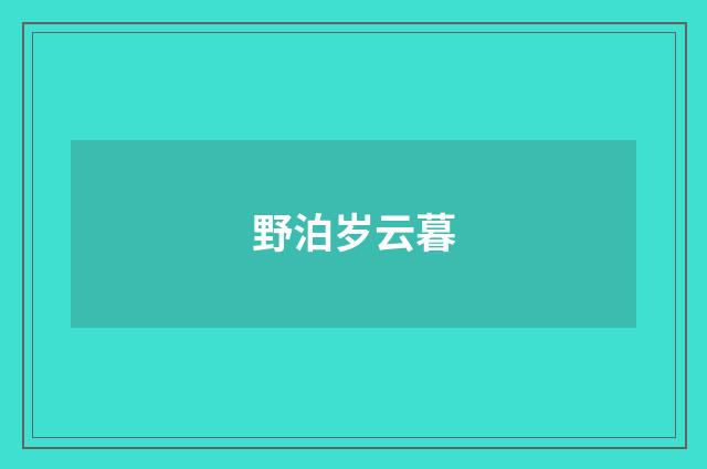 野泊岁云暮