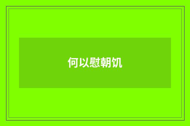 何以慰朝饥
