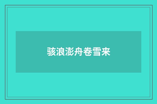 骇浪澎舟卷雪来