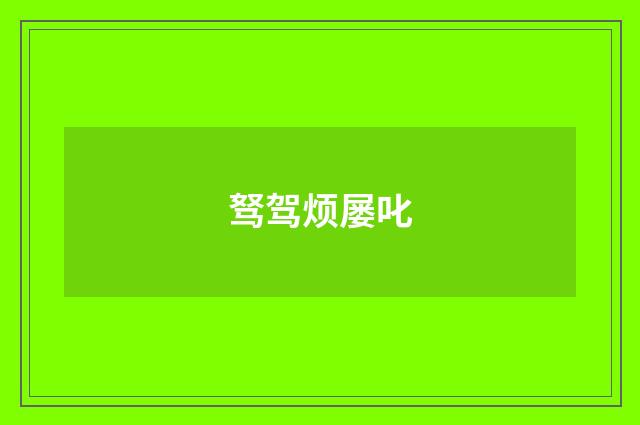 驽驾烦屡叱