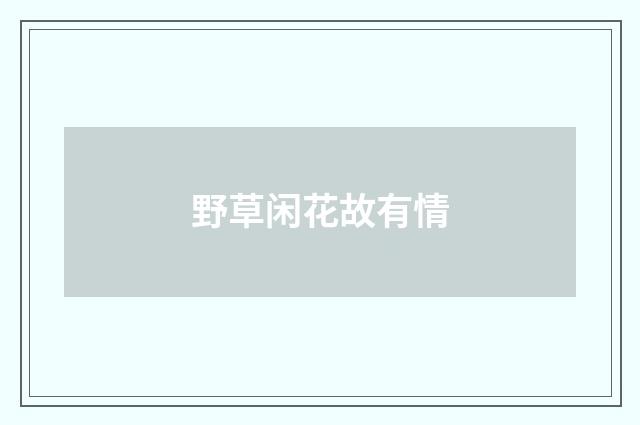 野草闲花故有情