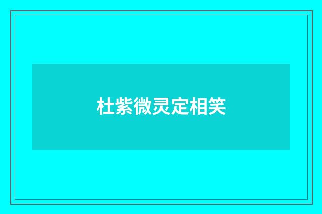 杜紫微灵定相笑