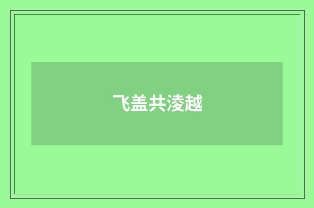 飞盖共淩越