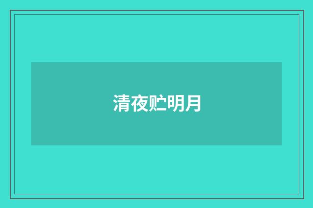 清夜贮明月
