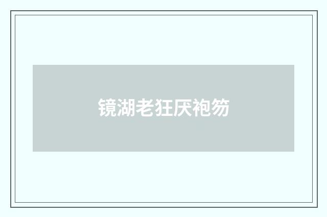 镜湖老狂厌袍笏