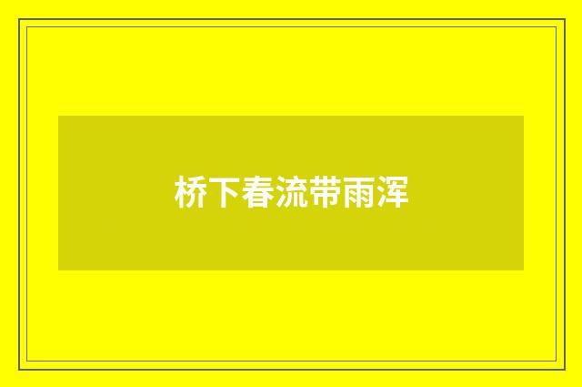 桥下春流带雨浑