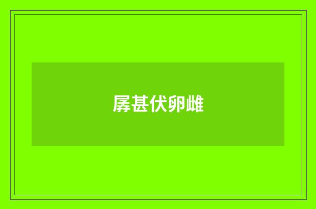 孱甚伏卵雌