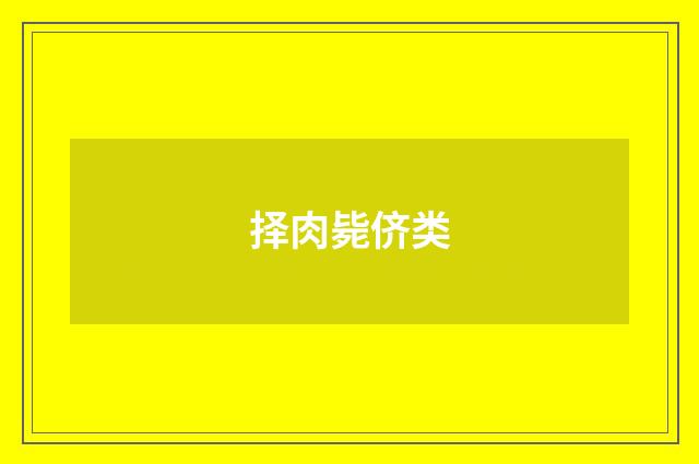择肉毙侪类