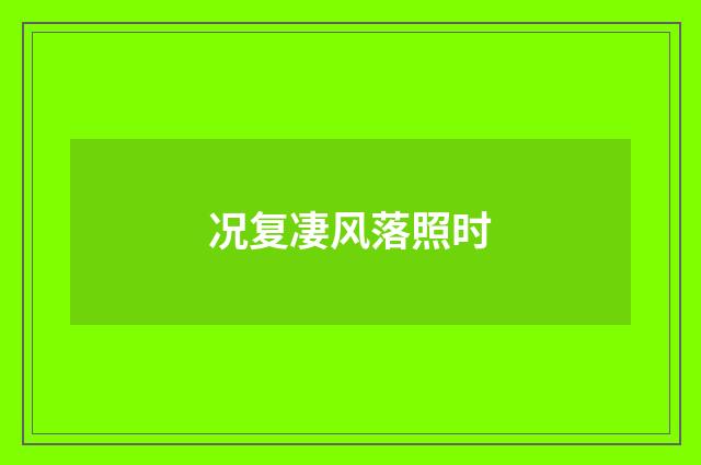 况复凄风落照时