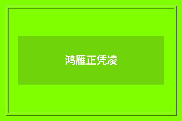 鸿雁正凭凌