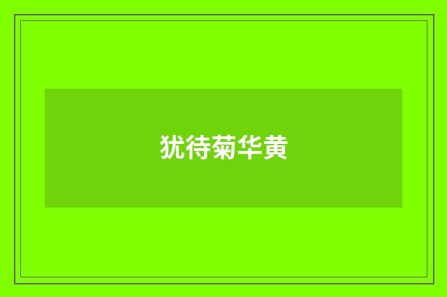 犹待菊华黄