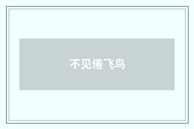 不见倦飞鸟