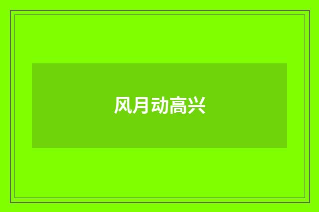 风月动高兴