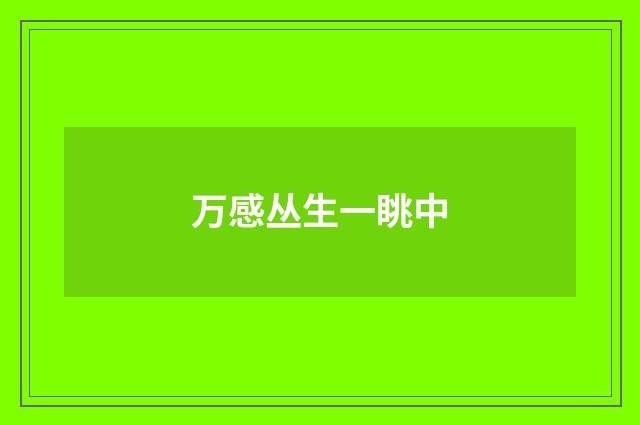 万感丛生一眺中