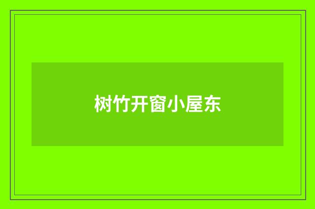 树竹开窗小屋东
