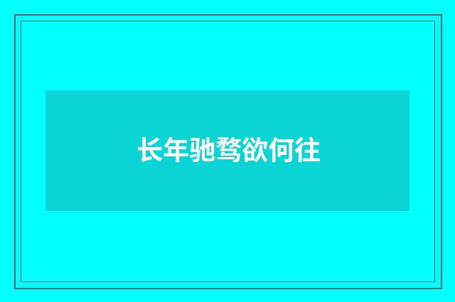长年驰骛欲何往