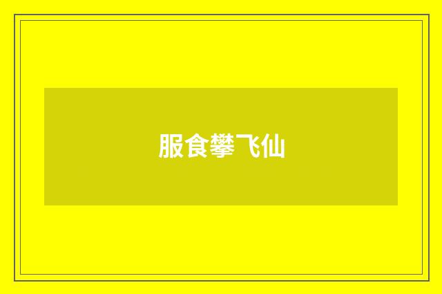 服食攀飞仙