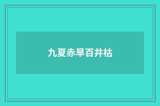 九夏赤旱百井枯
