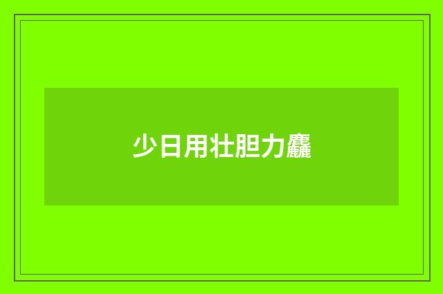 少日用壮胆力麤