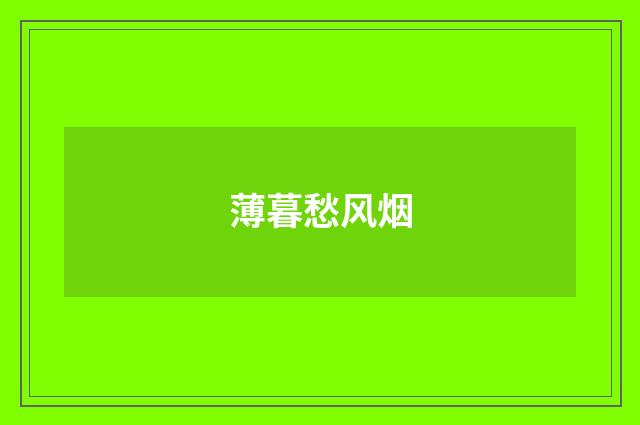 薄暮愁风烟