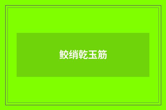鲛绡乾玉筋