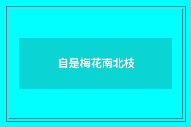 自是梅花南北枝