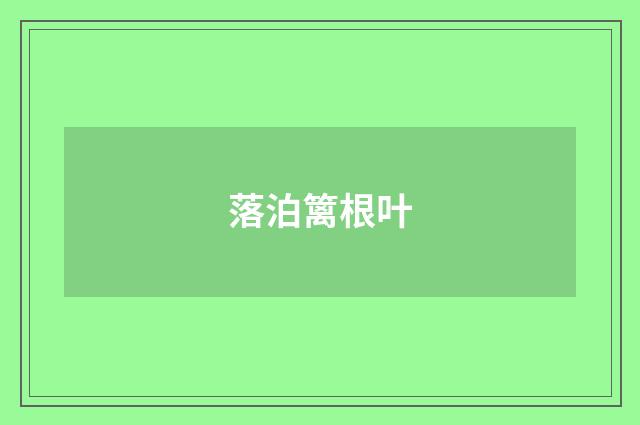 落泊篱根叶