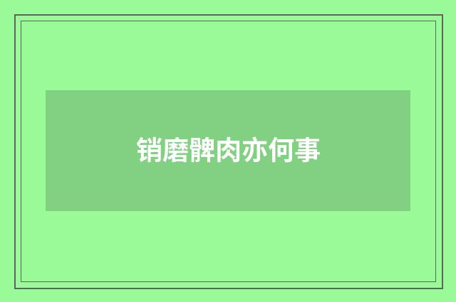 销磨髀肉亦何事