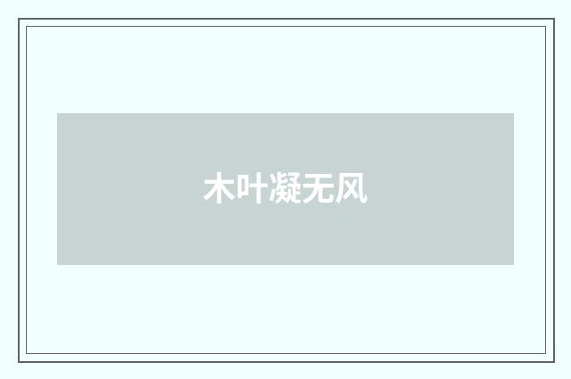 木叶凝无风
